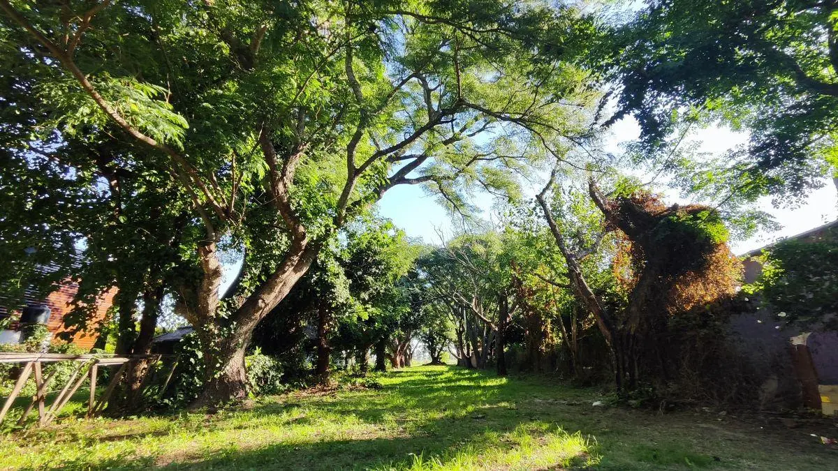 SE VENDE AMPLIO TERRENO EN ARROYO AGUIAR 2
