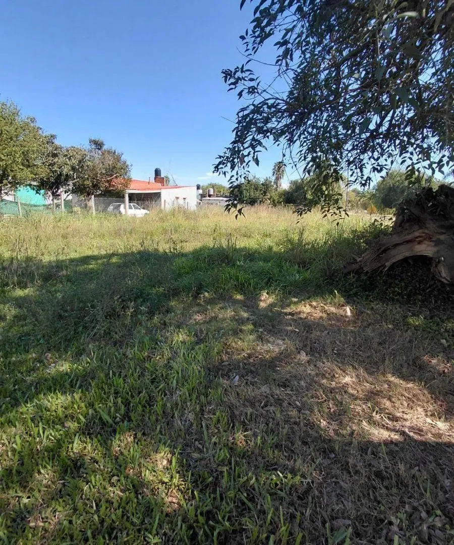 RAES MAX VENDE EN SAUCE VIEJO CCI 0517 2