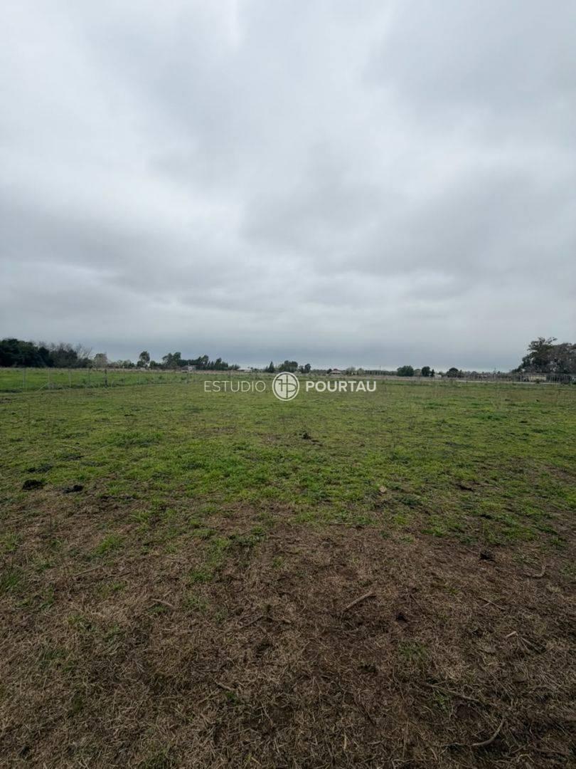 Foto de Lote . | CAMPO ABIERTO, imagen 3