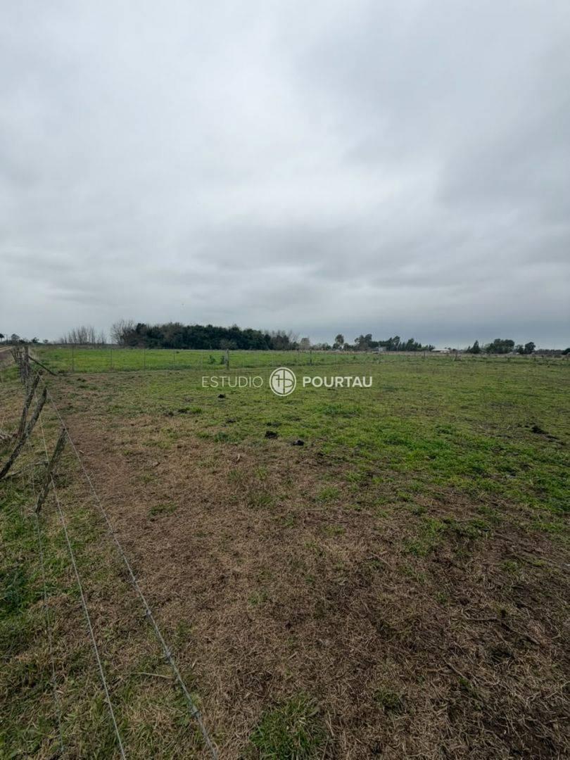 Foto de Lote . | CAMPO ABIERTO, imagen 1
