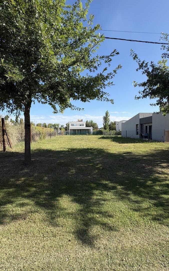 Foto de TERRENO EN VENTA. LAS CASUARINAS. 459m2, imagen 5