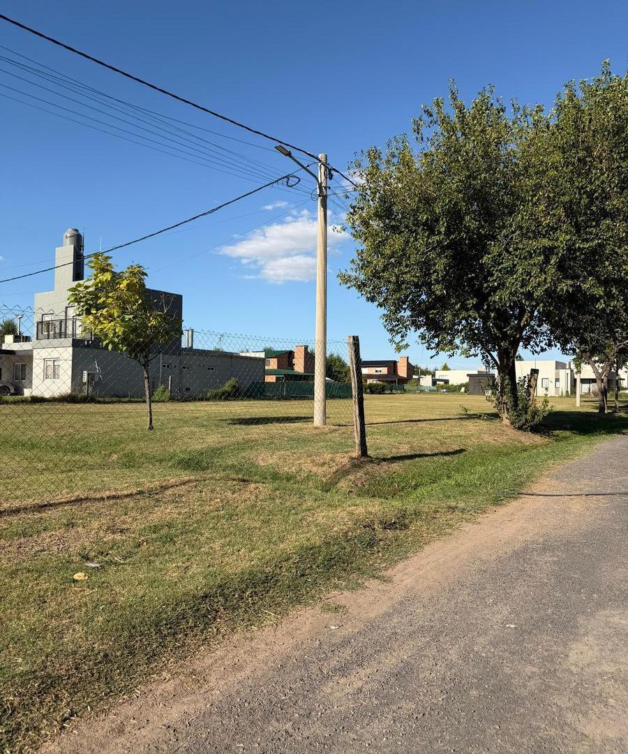 Foto de Terreno en venta. Las Casuarinas. 527 m2, imagen 4