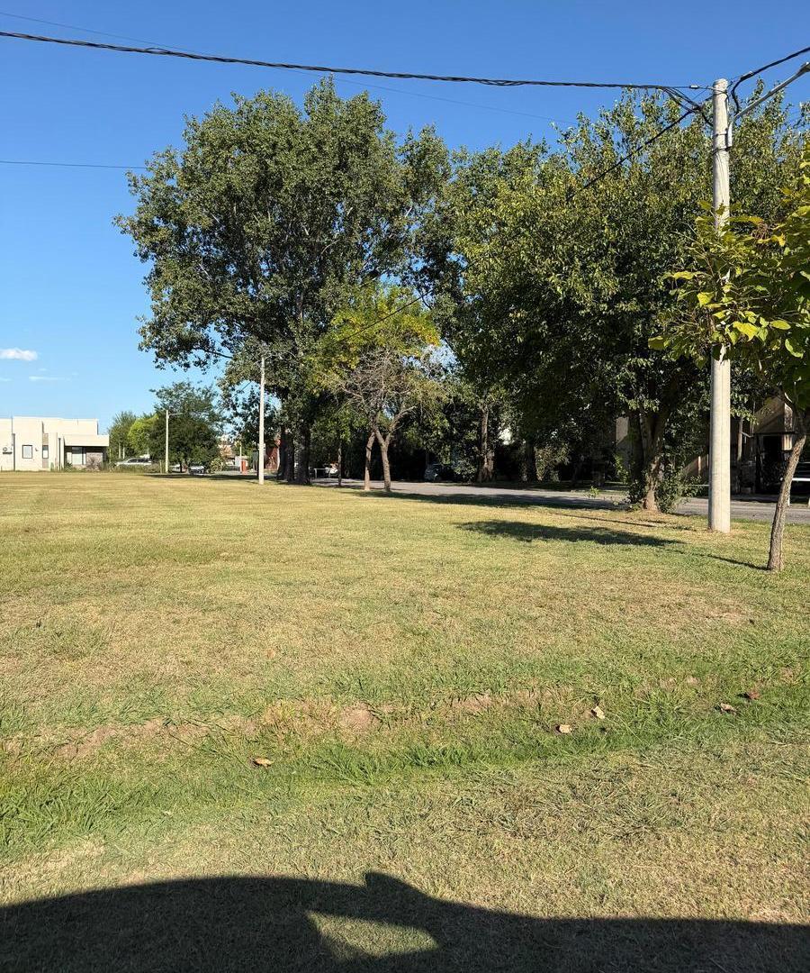 Foto de Terreno en venta. Las Casuarinas. 527 m2, imagen 5