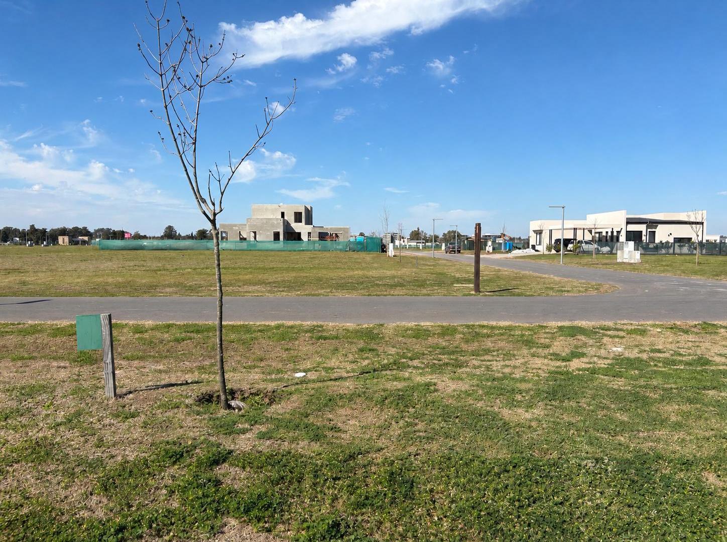 Foto de VENTA LOTE. FINCA I, imagen 1