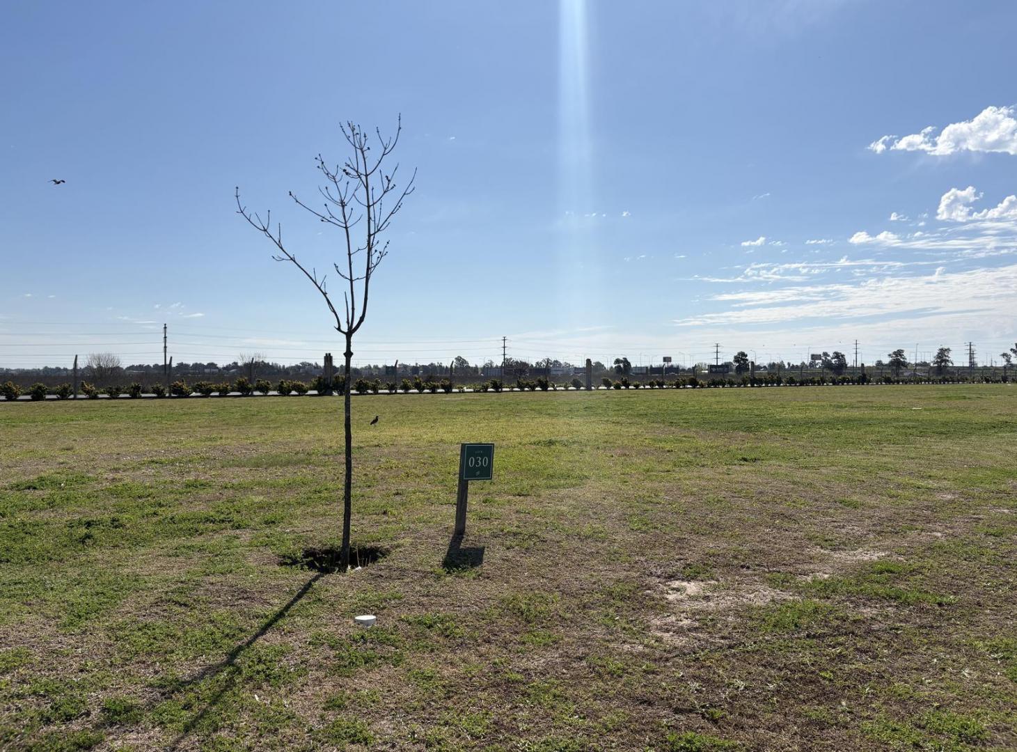 Foto de VENTA LOTE. FINCA I, imagen 5