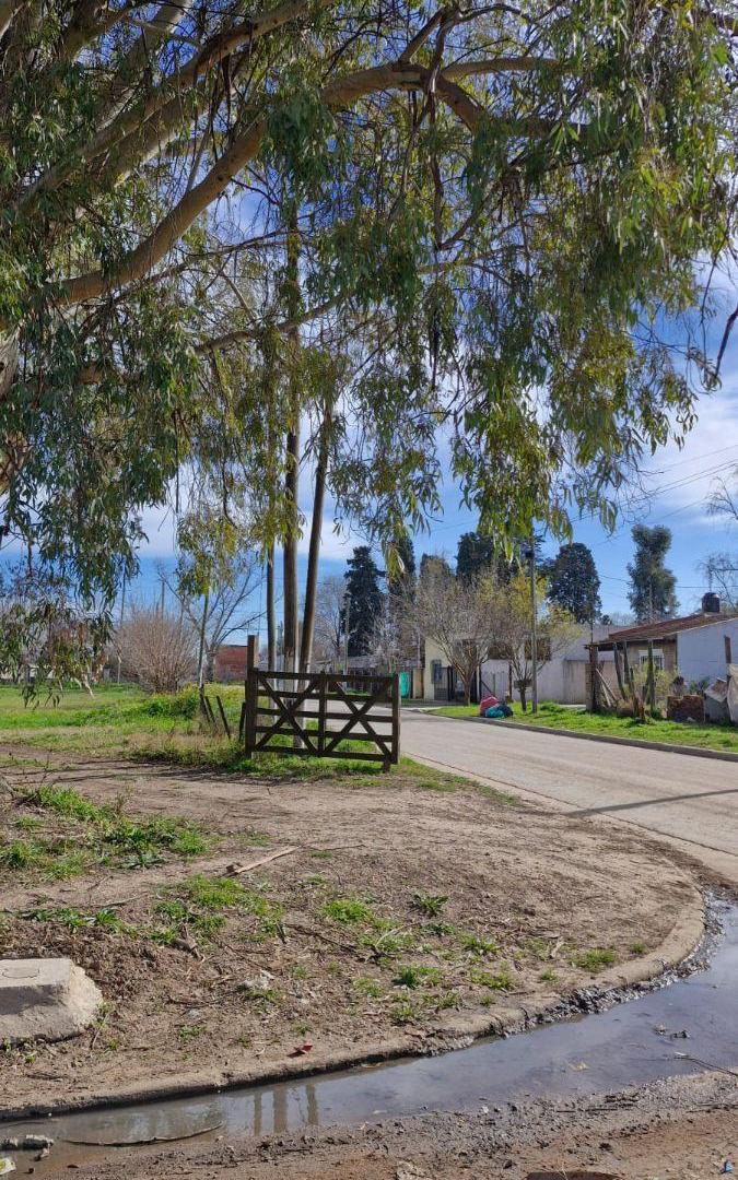 7 LOTES EN VENTA!