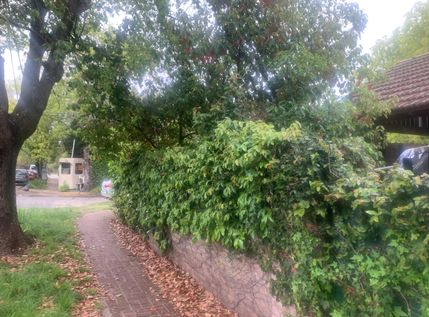 Foto de Terreno esquina en Martinez de libertador Al Rio., imagen 3