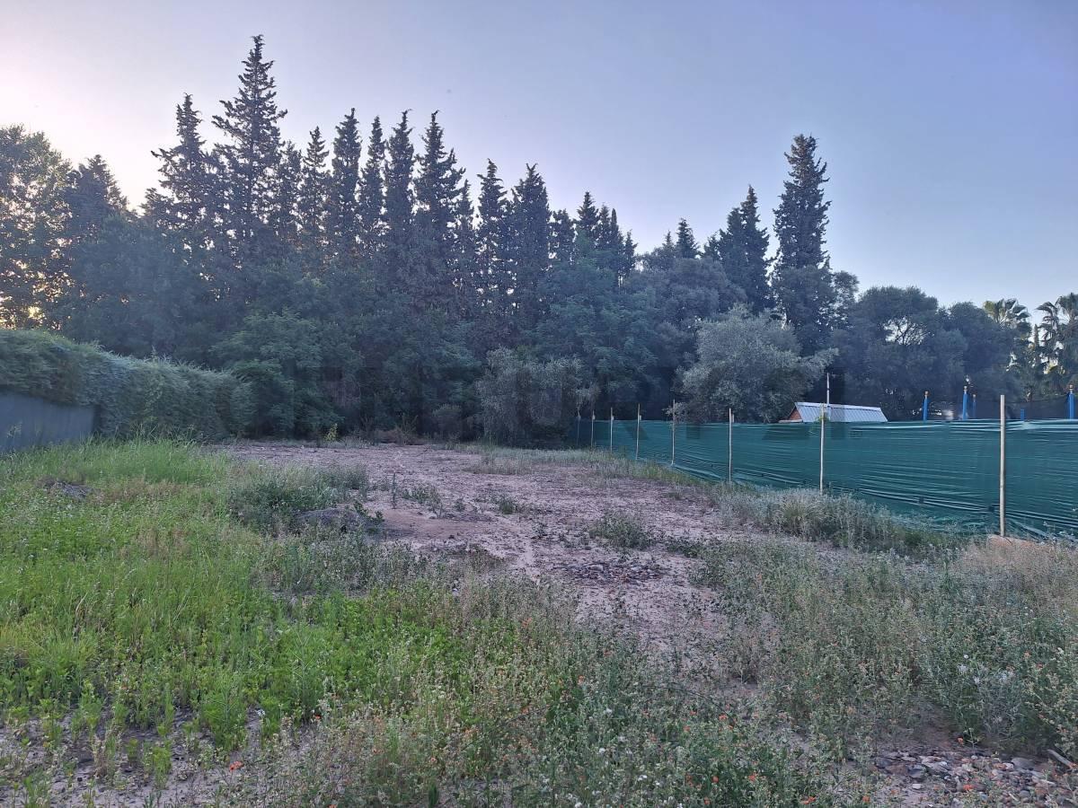Excelente Terreno de 1000 m² - Ubicación Privilegiada! 1