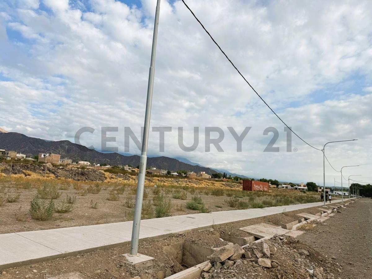 Venta de Lote 1