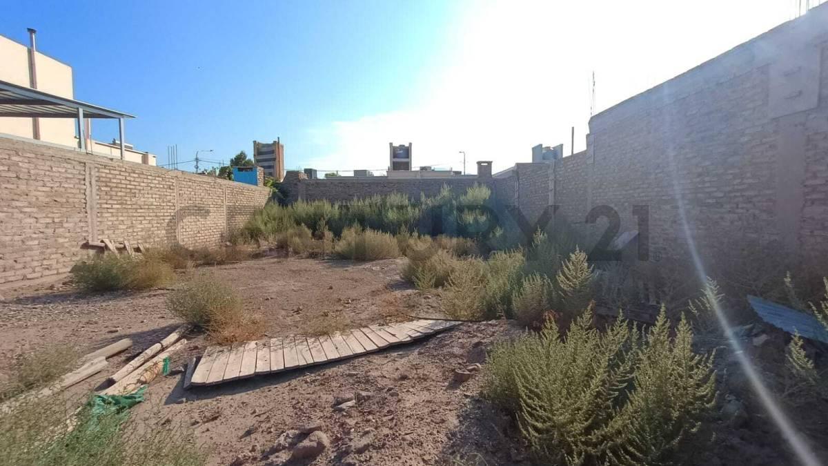 Vendo Terreno 5