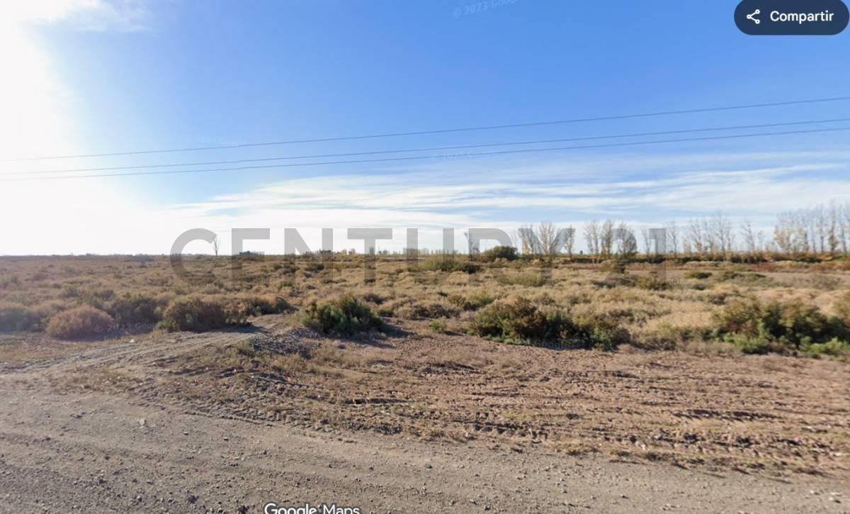 Lote de 1.020 m² sobre Ruta 34 – Costa de Araujo, Mendoza