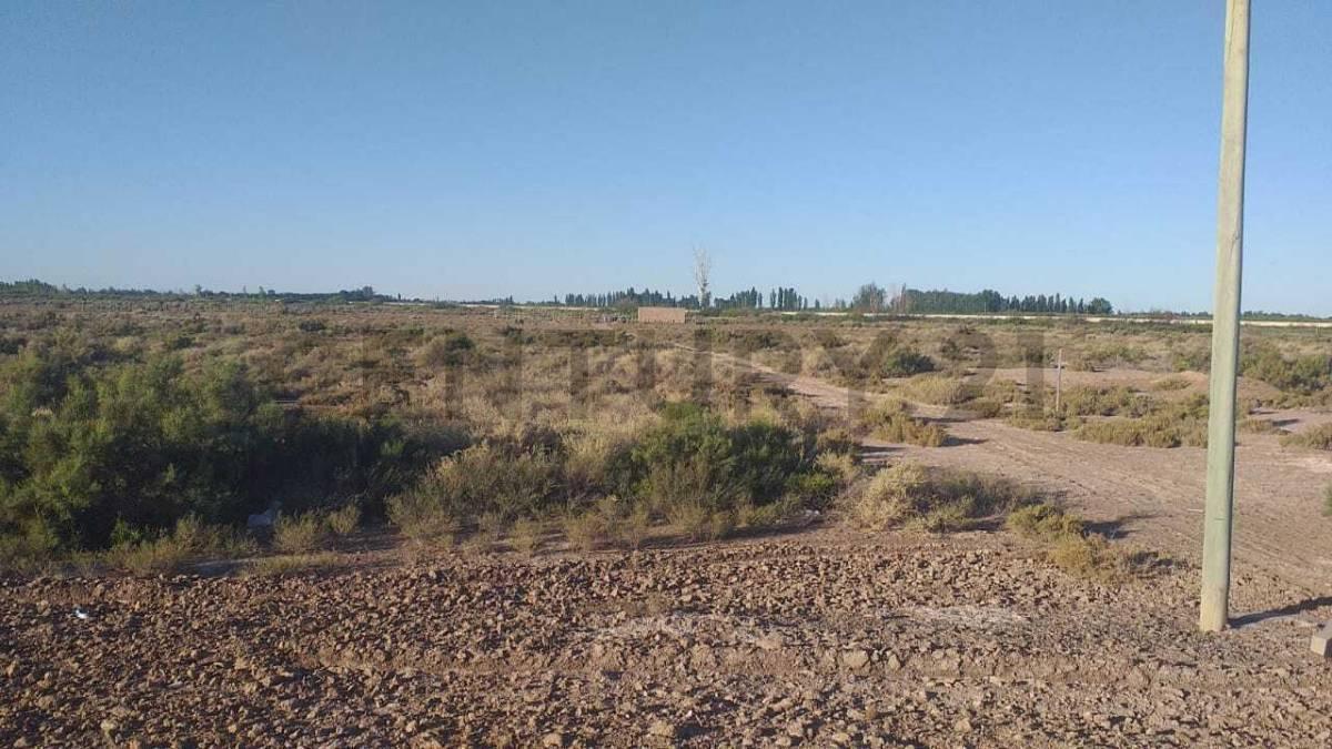 Lote de 1.020 m² sobre Ruta 34 – Costa de Araujo, Mendoza
