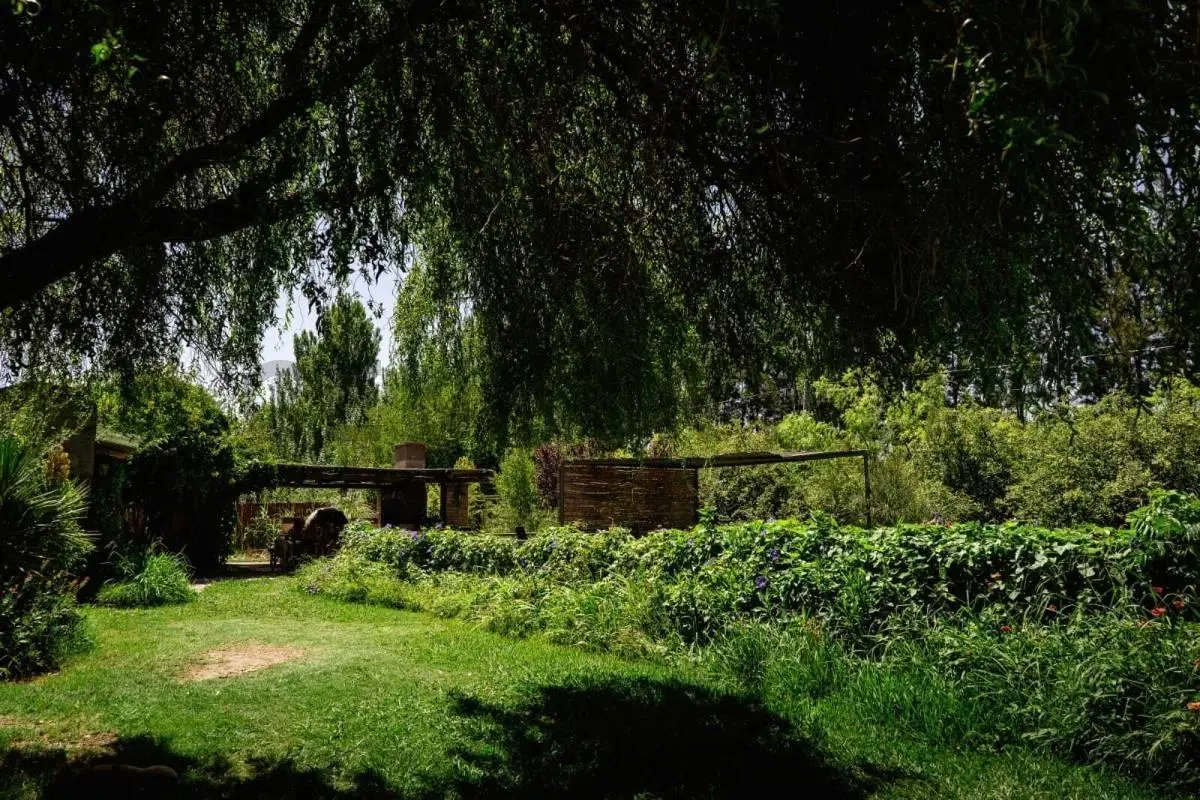 CASA EN ALQUILER 4