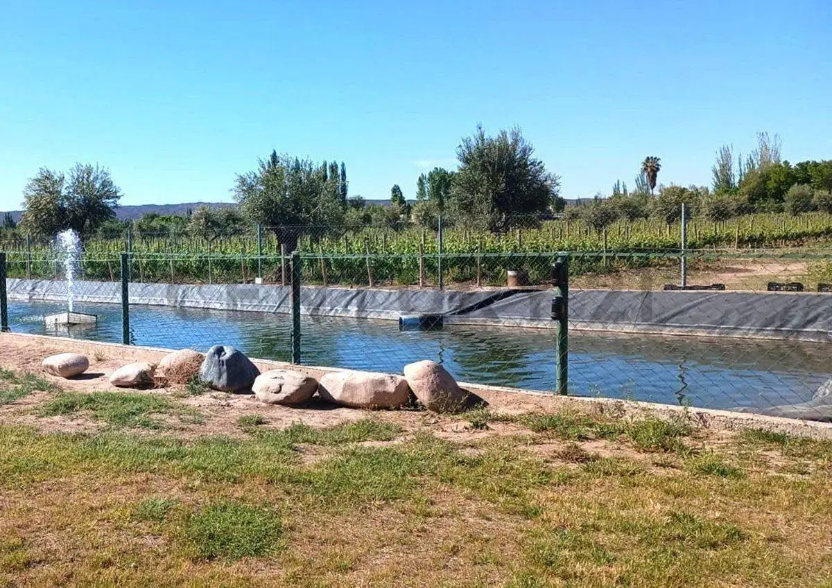 Lotes en Venta en Barrio Privado en Ayres de Terrada. 5