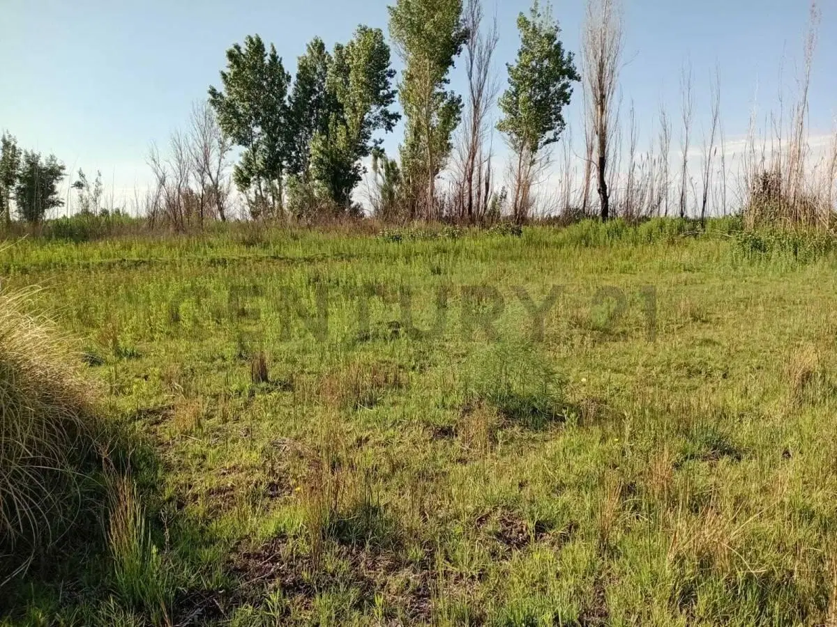 VENDO TERRENO LOS CORRALITOS 2