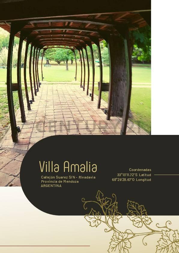 Foto de Venta de Exclusivo casco de 3 has en Villa Amalia, Rivadavia, ciudad de, imagen 2