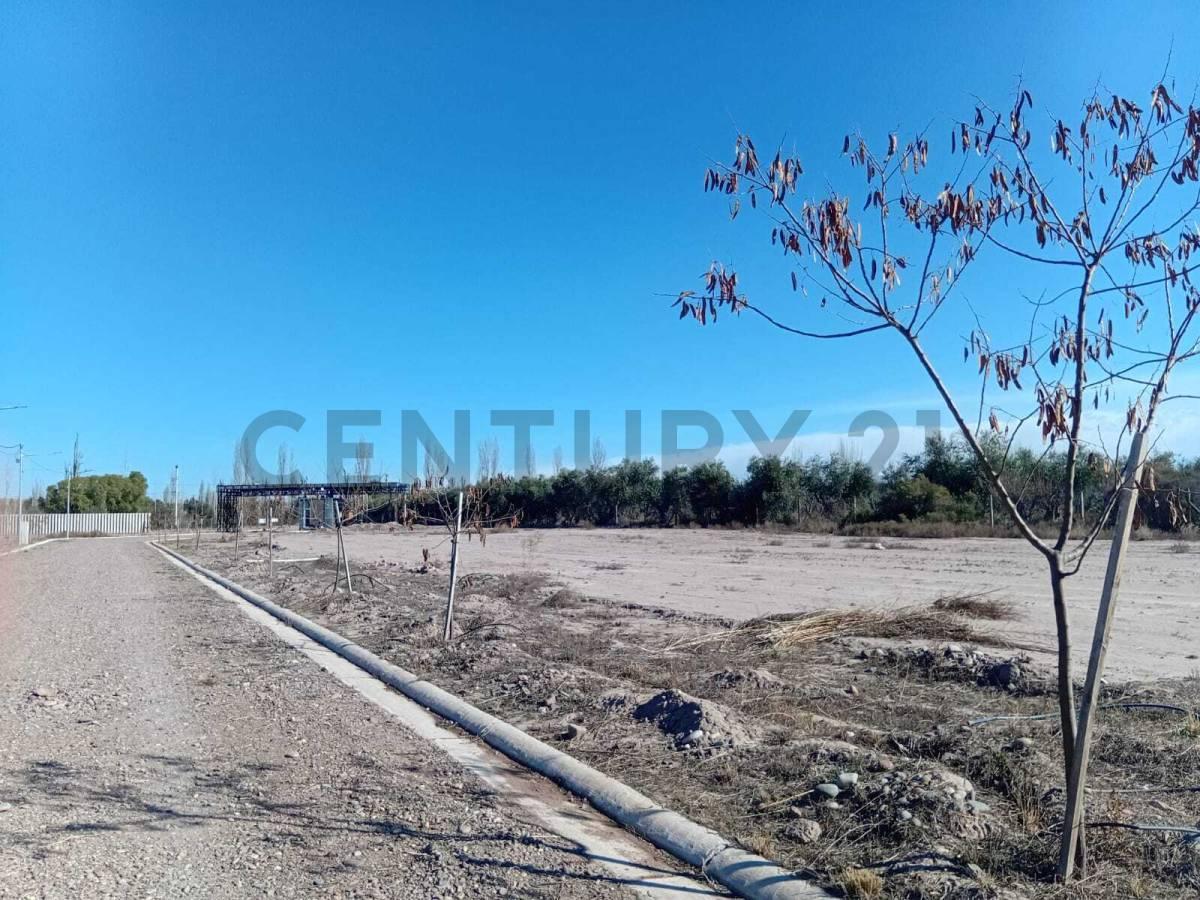 Foto de # Lote de 500 m² en Villa Guadalupe – Financiación y Permuta – Cruz de, imagen 5