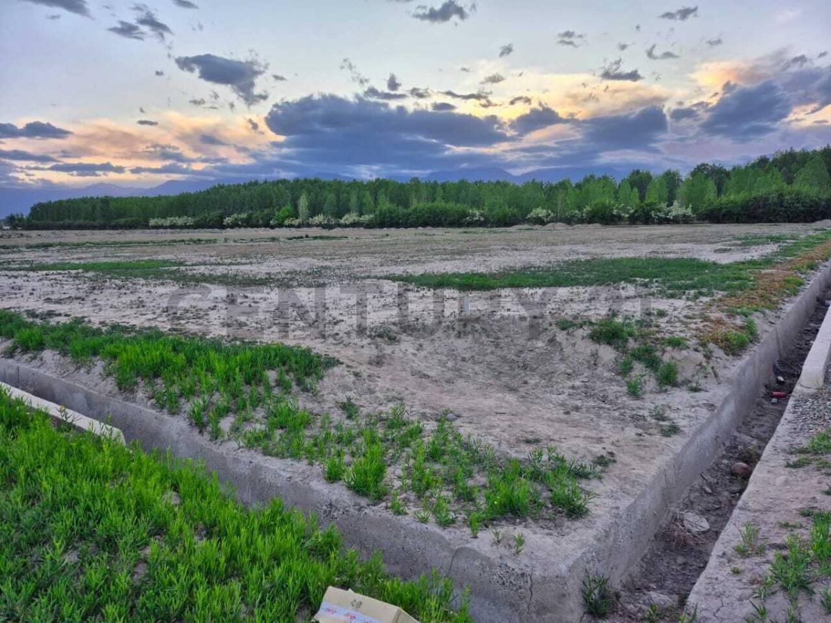 Foto de Terreno en Venta en Vista Flores, Tunuyán, imagen 4