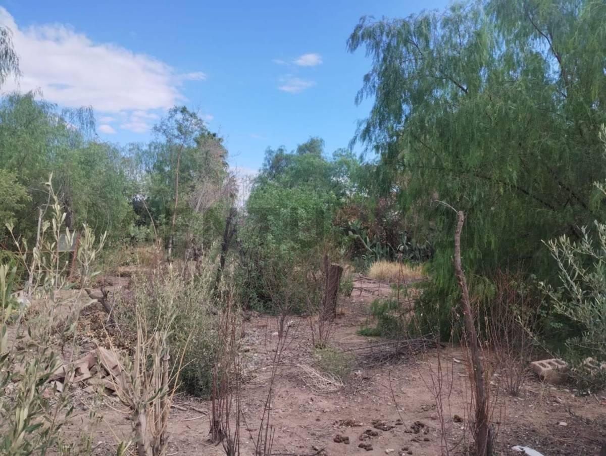 Foto de VENTA LOTE UBICADO PATRICIAS ARGENTINAS DE MAIPÚ, imagen 5