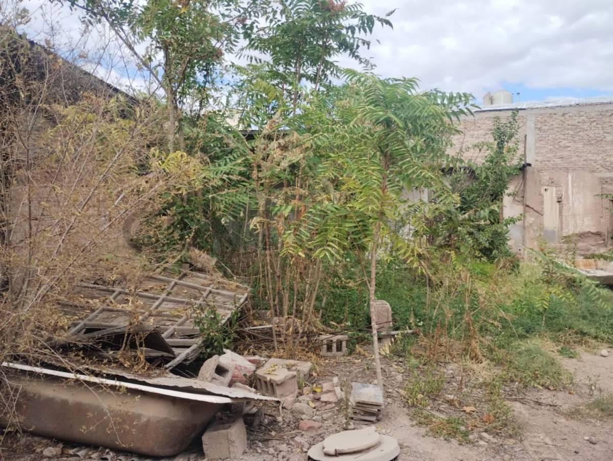 Foto de VENTA LOTE UBICADO PATRICIAS ARGENTINAS DE MAIPÚ, imagen 3