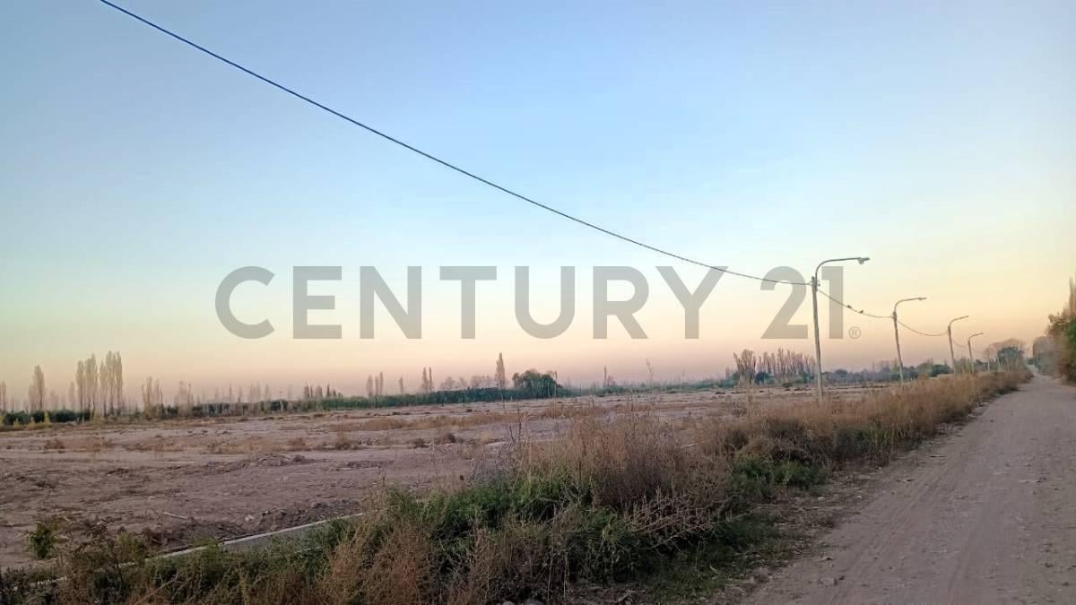 Foto de Vendo Terreno, imagen 1