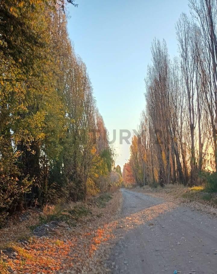 Foto de Vendo Terreno, imagen 5