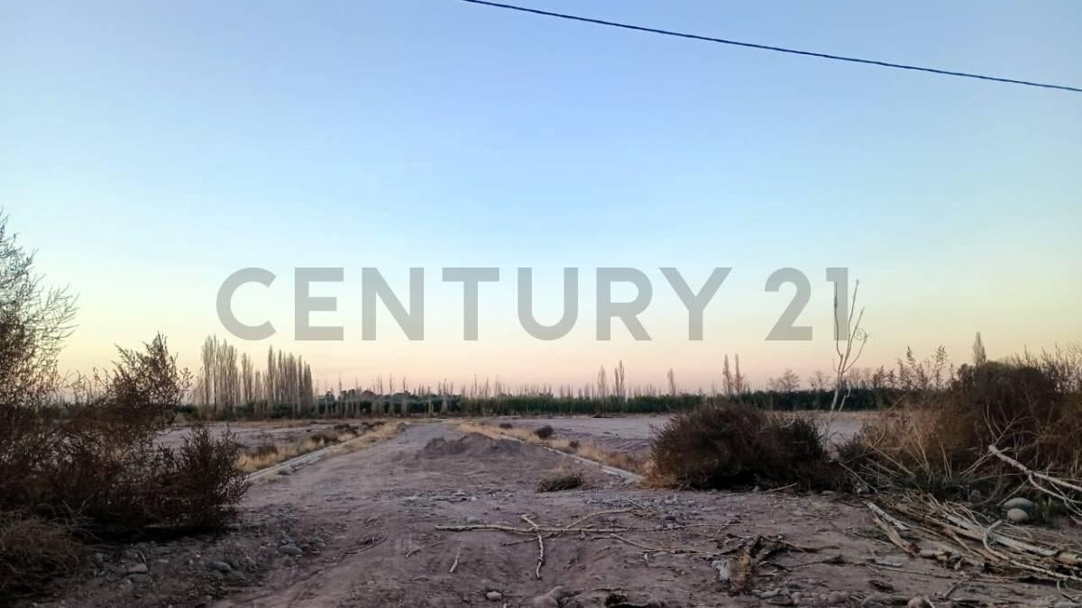 Foto de Vendo Terreno, imagen 3