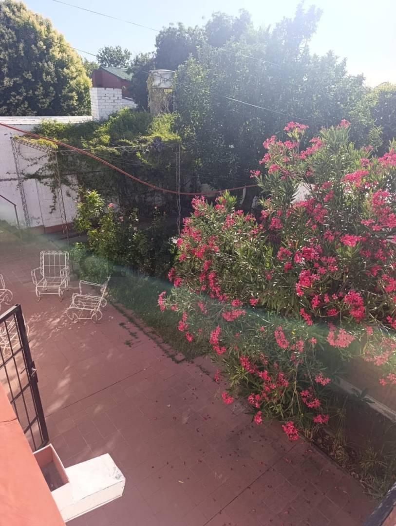 Foto de Venta casa San Rafael Mendoza, imagen 3