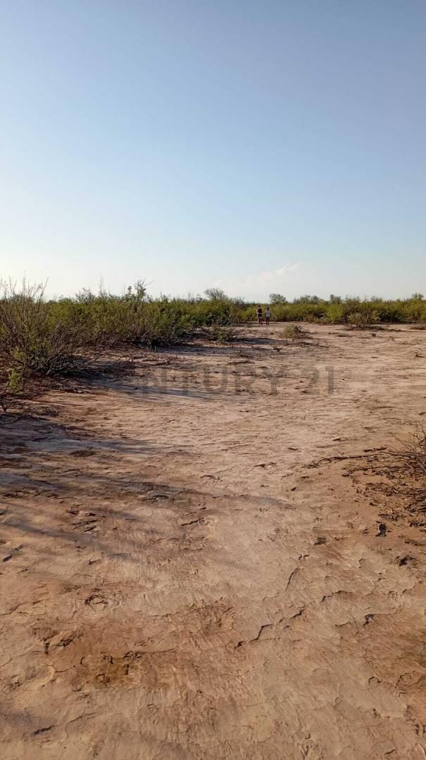 Foto de CAMPO DE 10 HECTAREAS EN VENTA LAVALLE (FRACCION G), imagen 2
