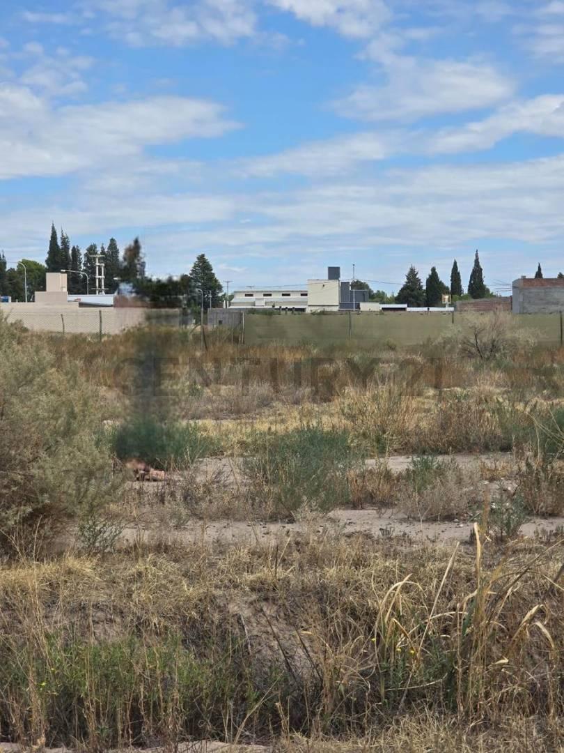 Foto de Venta terreno Barrio Cerioni, imagen 1
