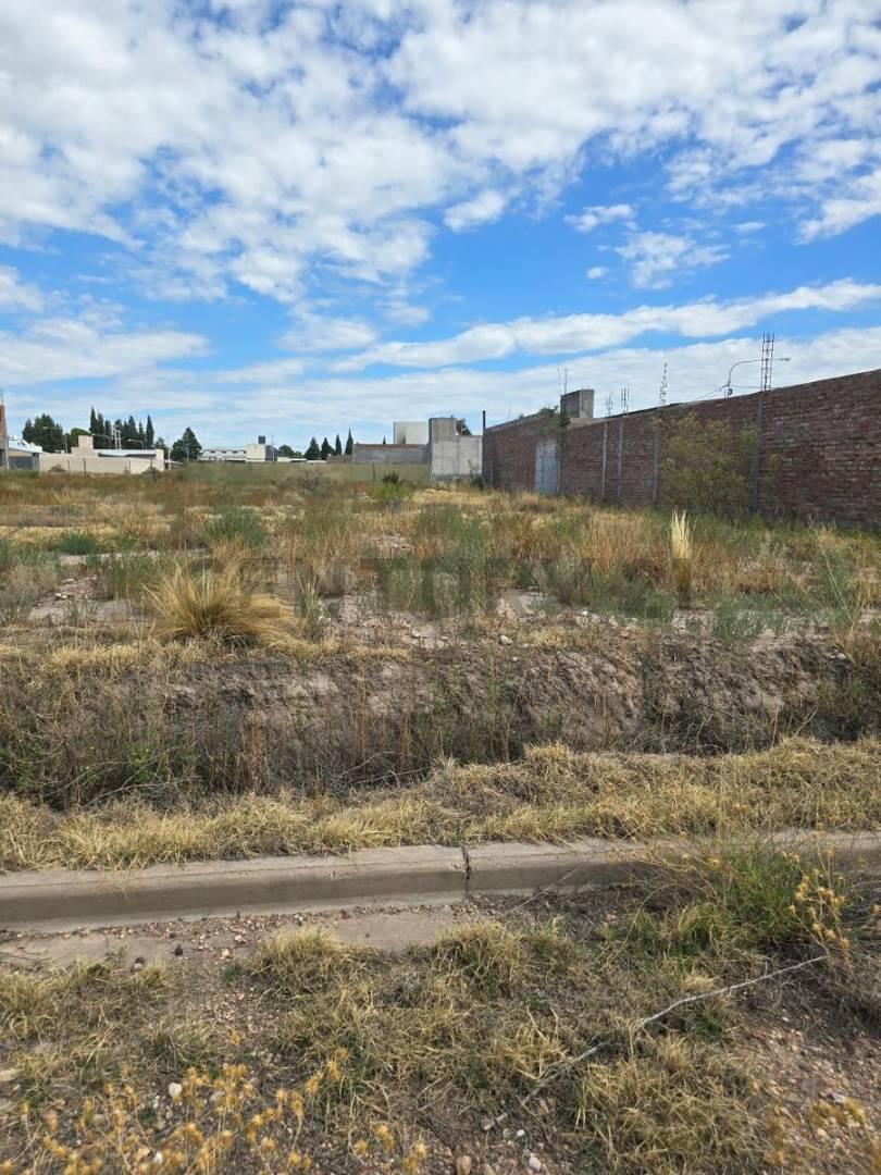 Foto de Venta terreno Barrio Cerioni, imagen 4
