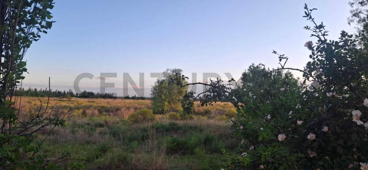 Foto de VENTA TERRENO SAN RAFAEL, imagen 3