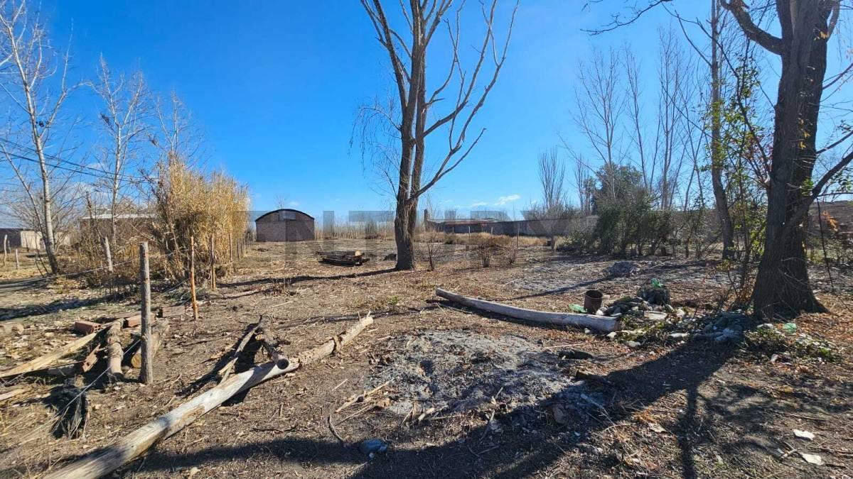 Foto de TERRENO EN VENTA | 1.400 m² | TUPUNGATO, MENDOZA, imagen 4