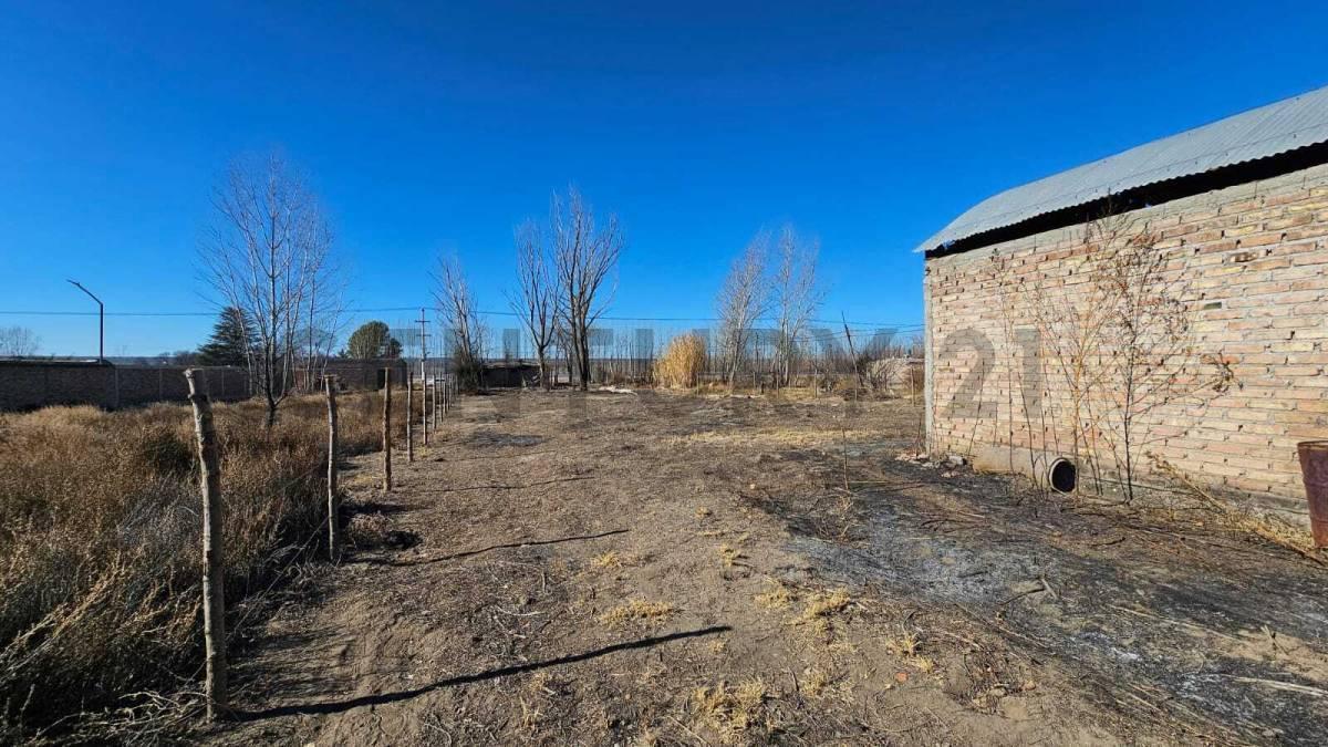 Foto de TERRENO EN VENTA | 1.400 m² | TUPUNGATO, MENDOZA, imagen 2