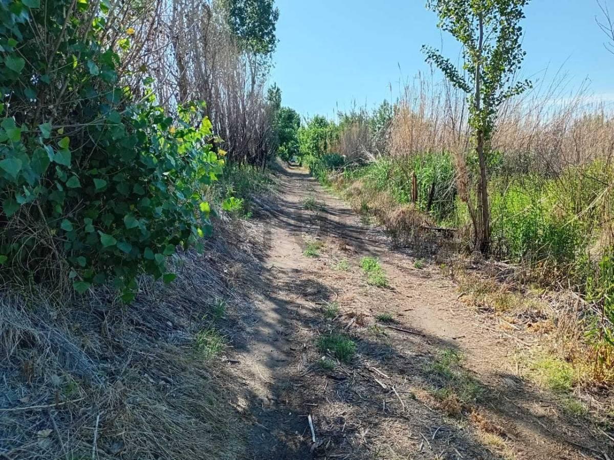 Foto de SE VENDE EXCELENTE TERRENO, imagen 2