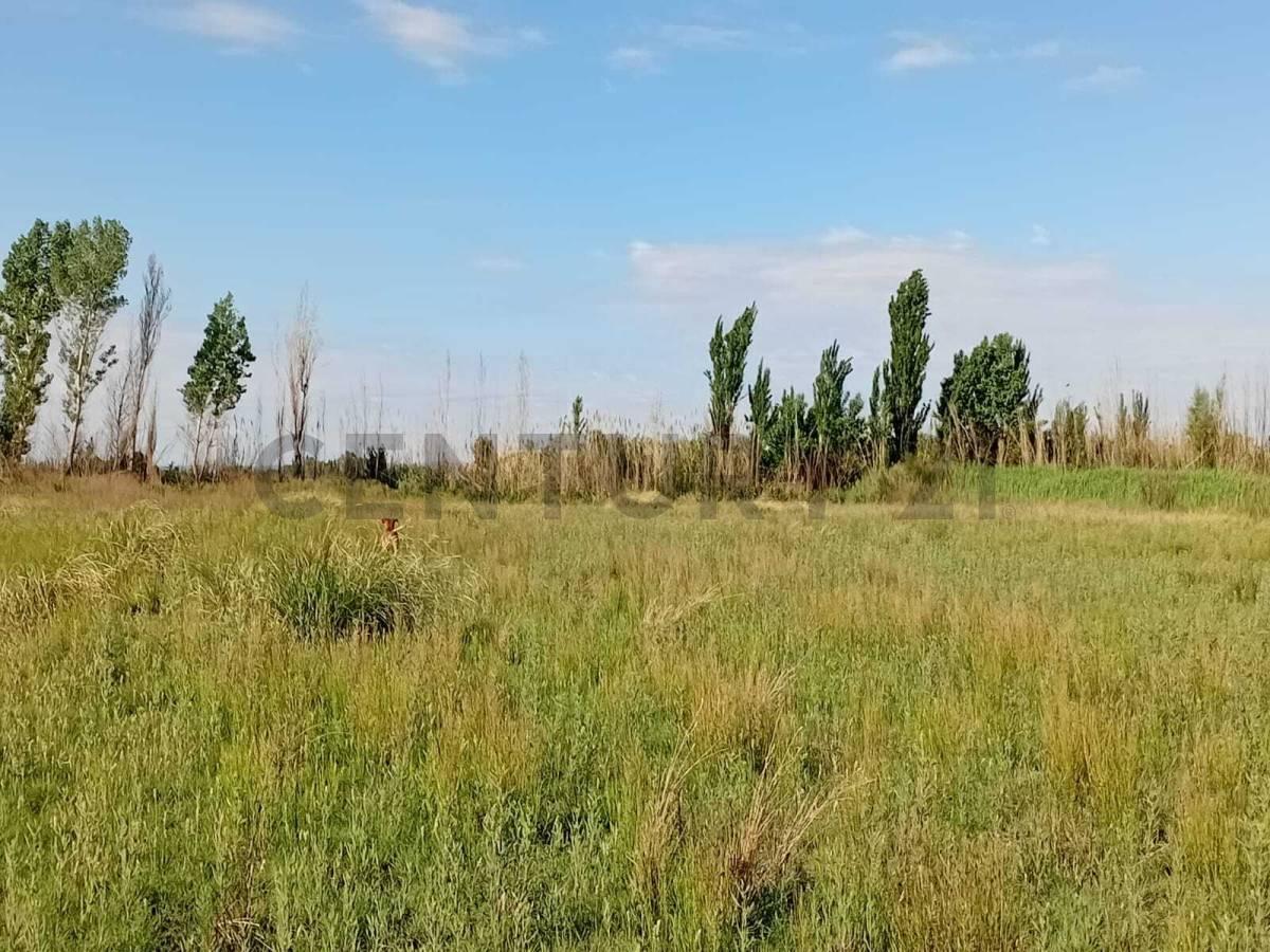 Foto de SE VENDE EXCELENTE TERRENO, imagen 5