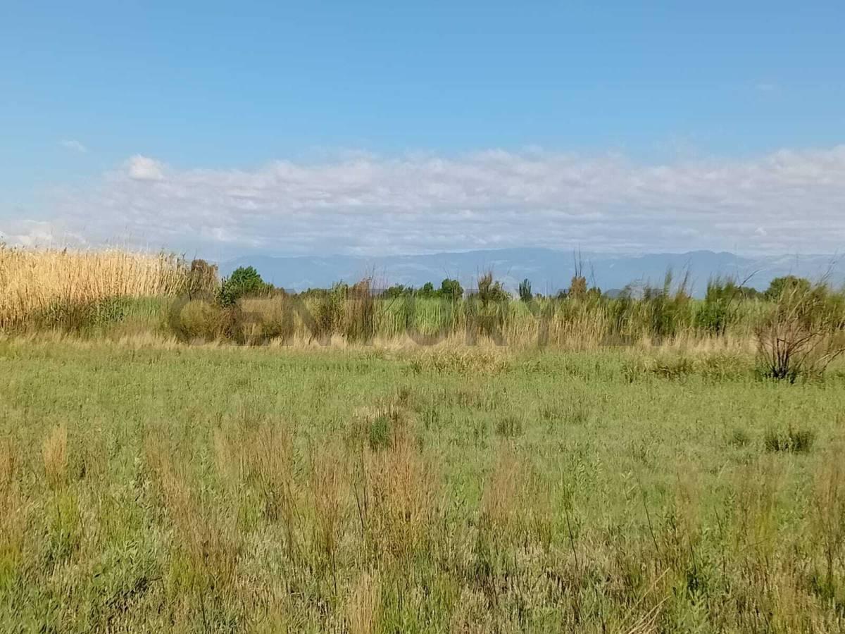 Foto de SE VENDE EXCELENTE TERRENO, imagen 1