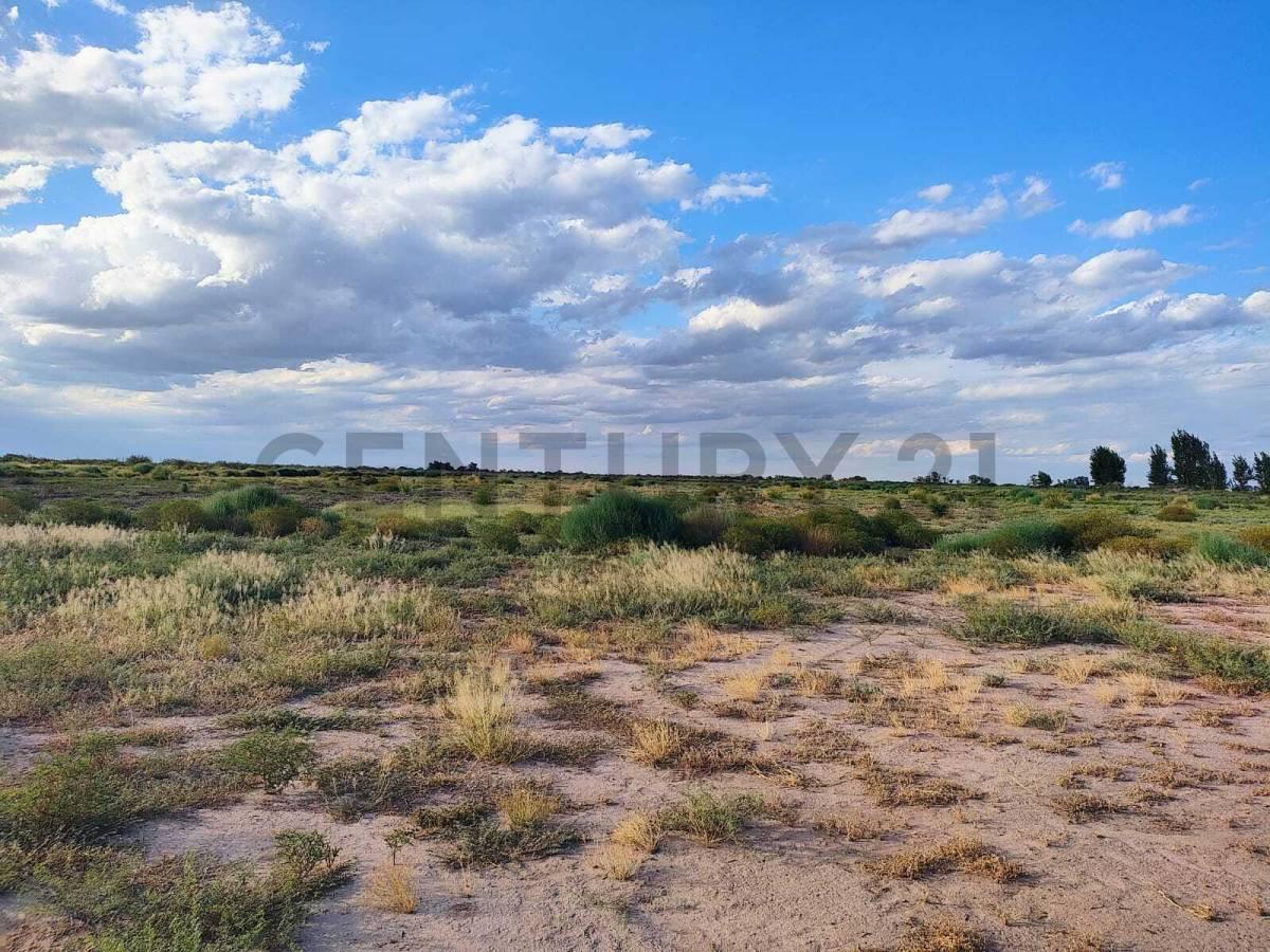 Foto de VENTA DE FINCA EN LAVALLE., imagen 1