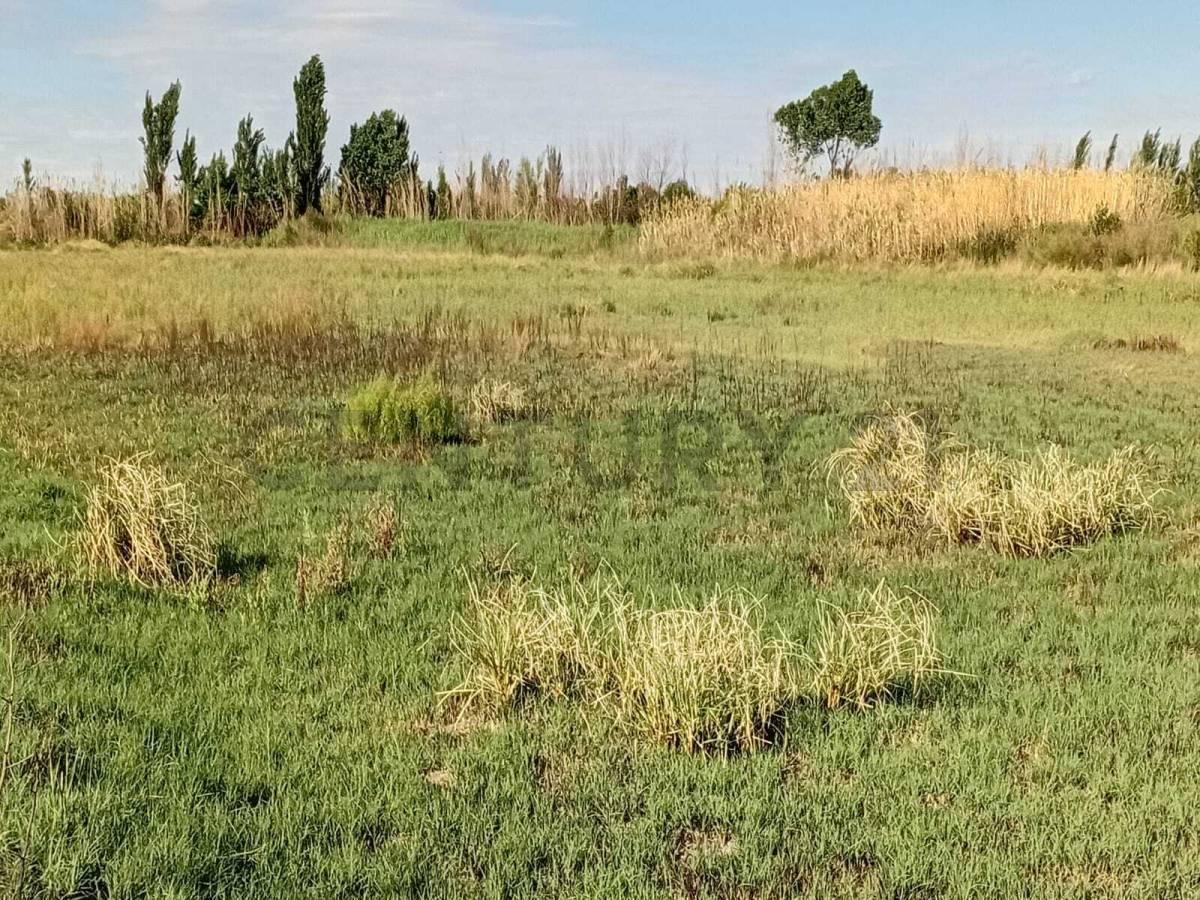 Foto de VENDO TERRENO LOS CORRALITOS, imagen 4