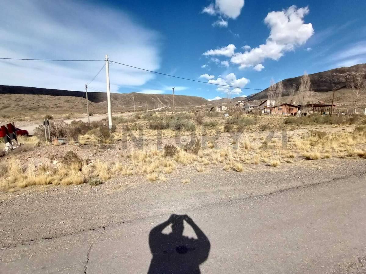 Foto de Oportunidad en Potrerillos: 679,15m² Frente al Río Blanco – Naturaleza, imagen 5