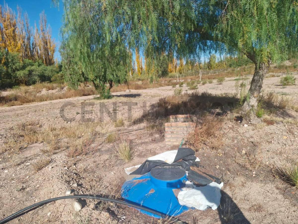Foto de VENTA TERRENO SAN RAFAEL, imagen 3