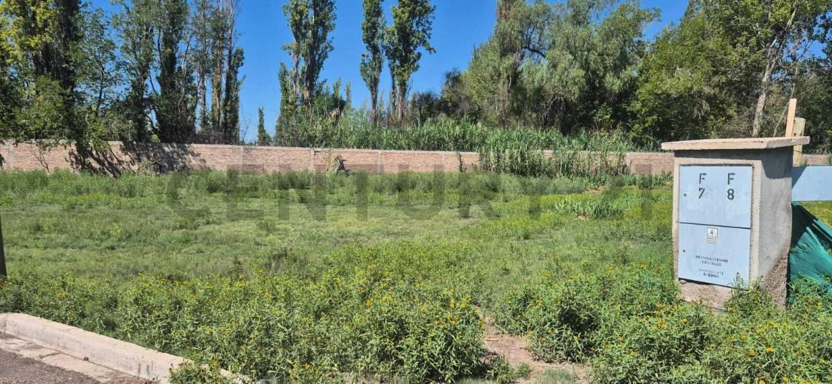 Foto de Vendo Lote Barrio Privado Nautilus, imagen 5