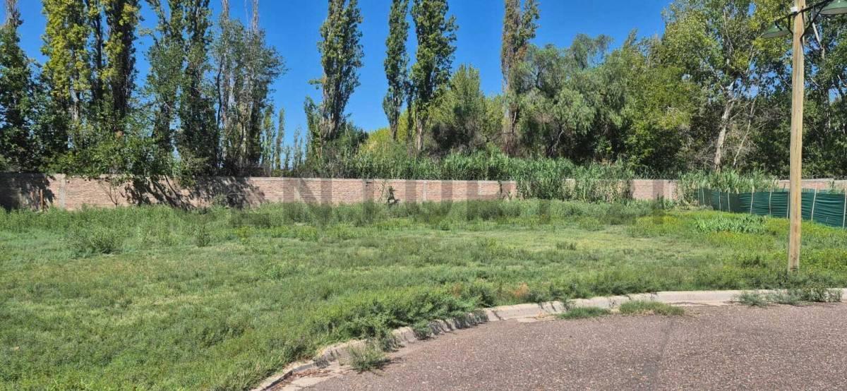 Foto de Vendo Lote Barrio Privado Nautilus, imagen 3