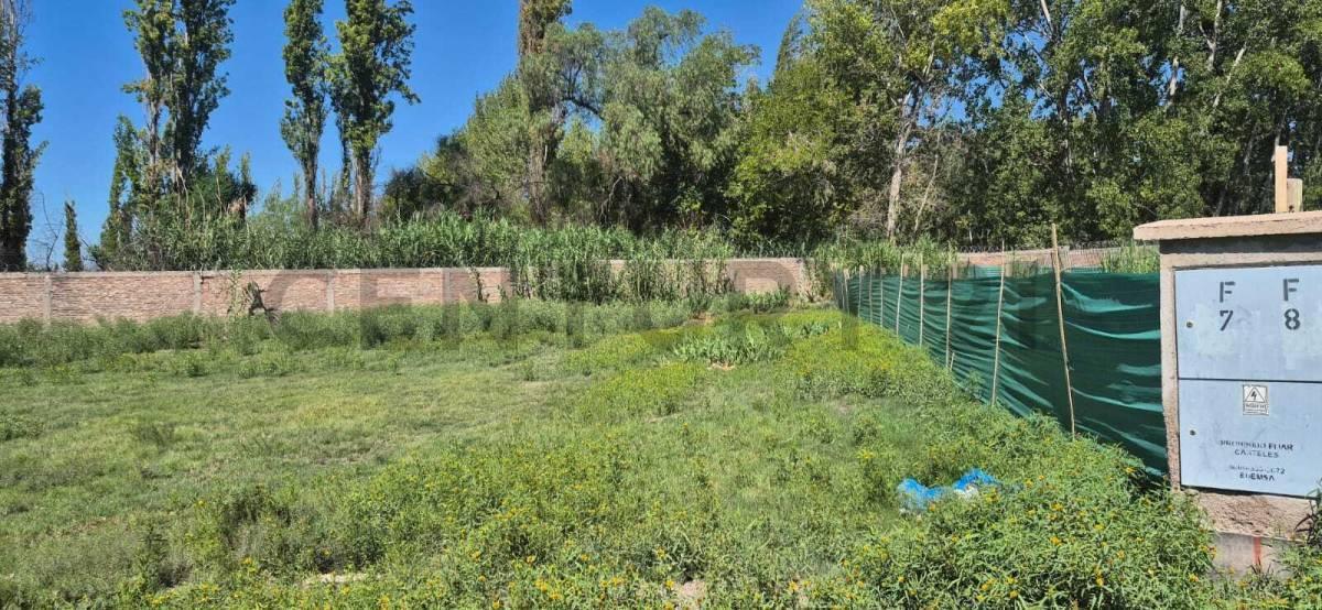 Foto de Vendo Lote Barrio Privado Nautilus, imagen 4