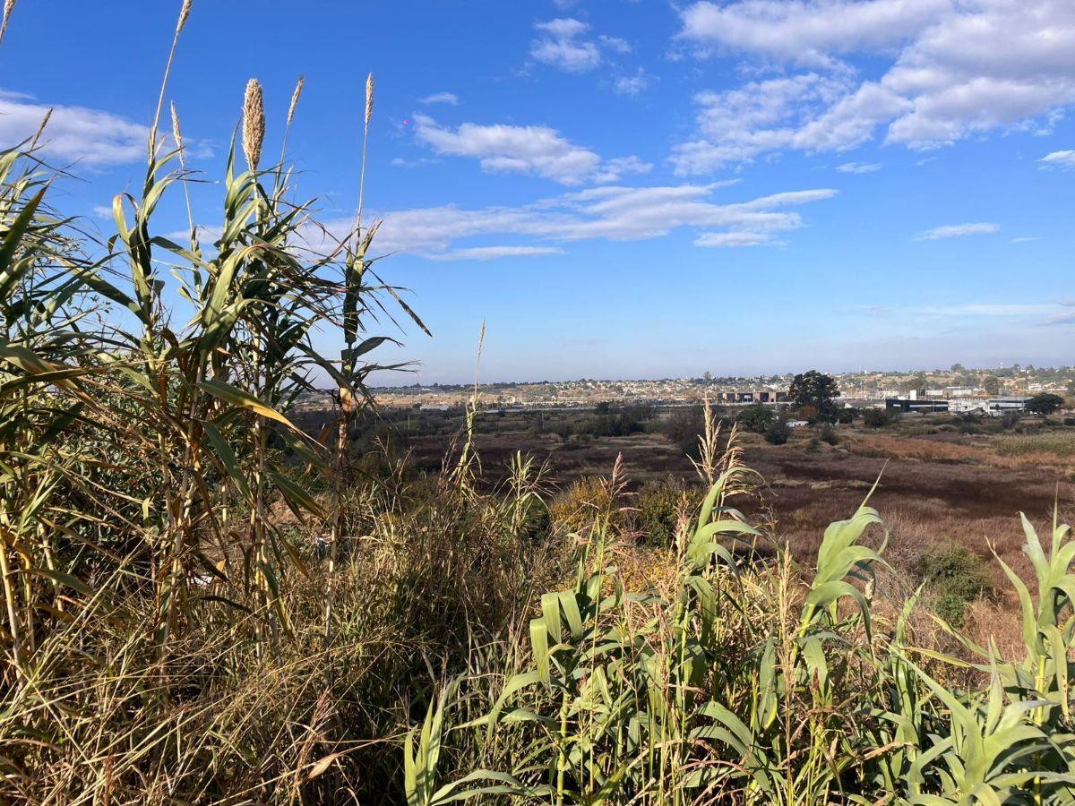 CANTERA EN VENTA DE 45.2202 M2 ZONA CIRCUNVALACION