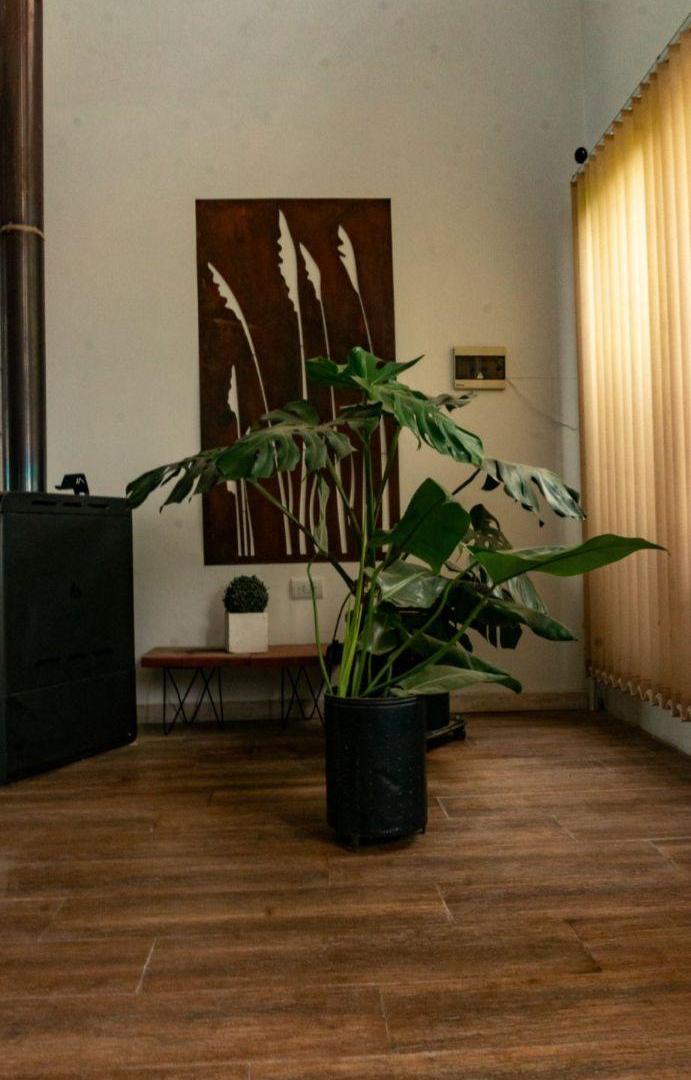 Foto de Casa de 297 m² con 4 dormitorios en venta en Monte Cristo, imagen 5