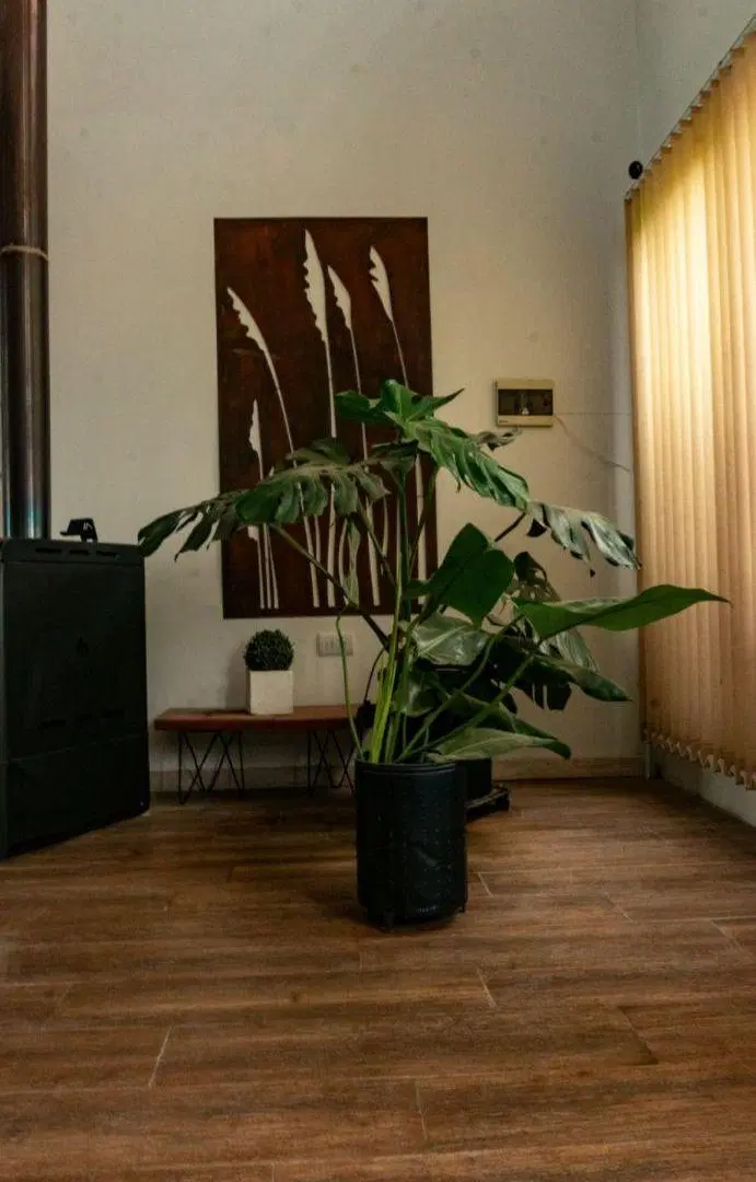 Casa de 297 m² con 4 dormitorios en venta en Monte Cristo 5