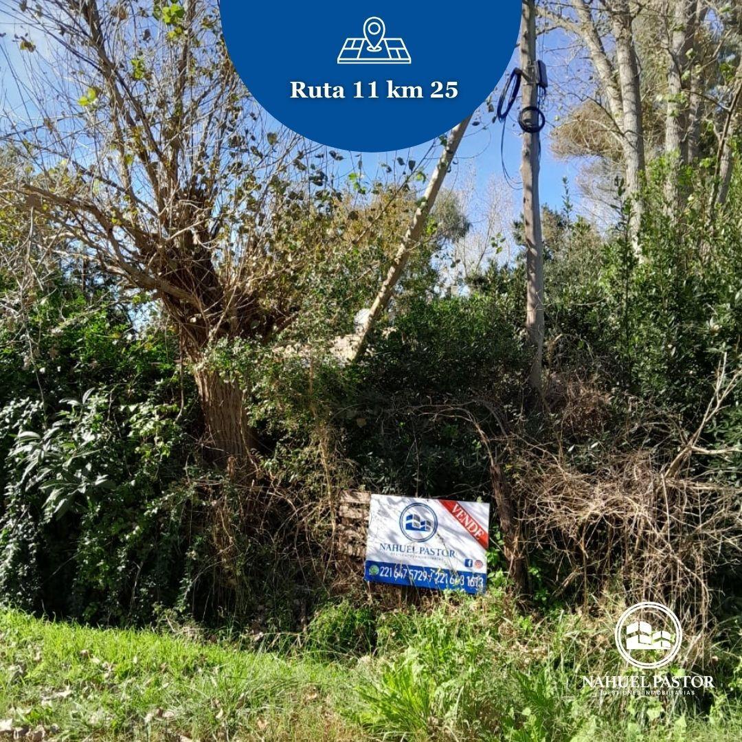 Foto de Venta Lotes, Los Naranjos, imagen 2