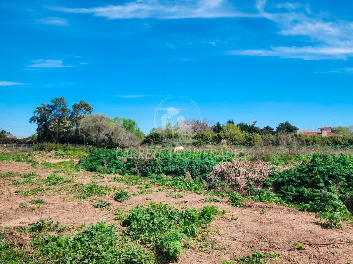 Terreno de 11,5 ha en estratégica ubicación cercana a Panamericana, Centros comerciales y Colegios.
