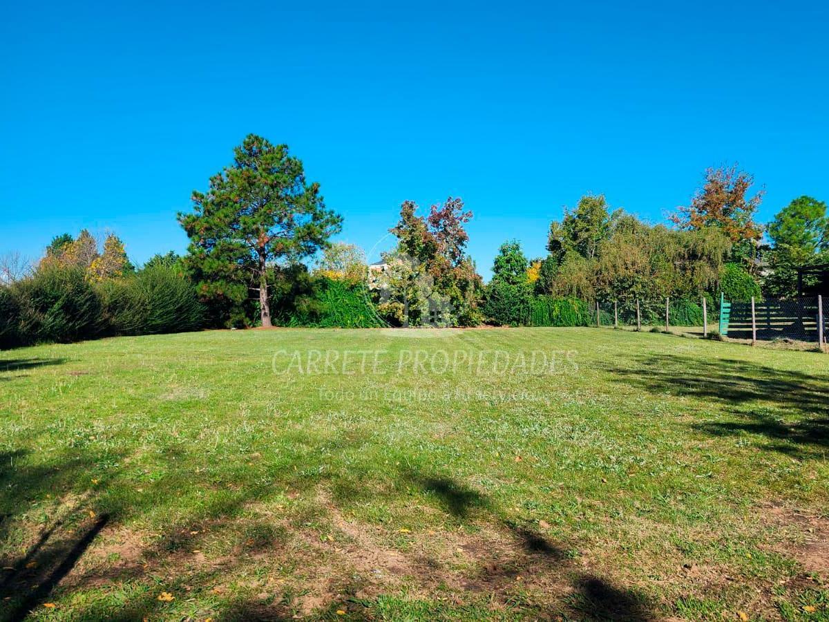 Foto de Loten Venta Apto Crédito y Permuta por depto en CABA. Barrio Los, imagen 3